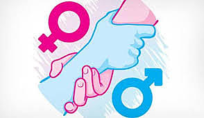 Plan de igualdad de Oportunidad para la Equidad de Genero. Acuerdo 091 de 2003