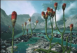 Esimesed maismaataimed