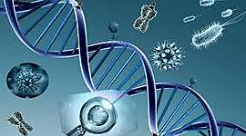 Timeline: La Nanotecnología