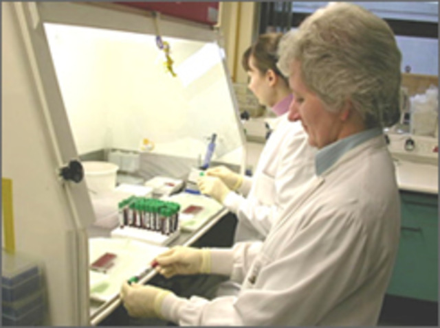 Laboratorios Gran Bretaña