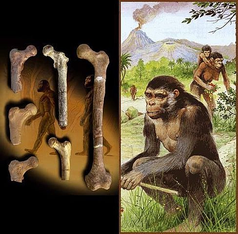 6 Millones de años Orrorin Tuqenensis