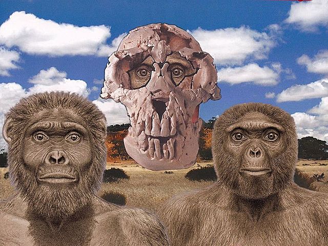 4.1-4.4 millones de años Arditheus Ramidus