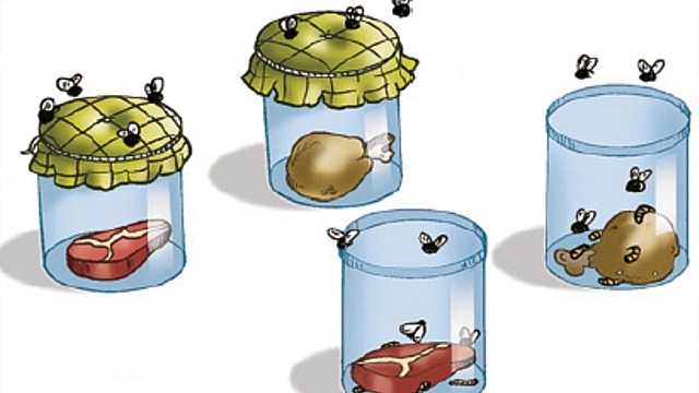 Generación espontanea