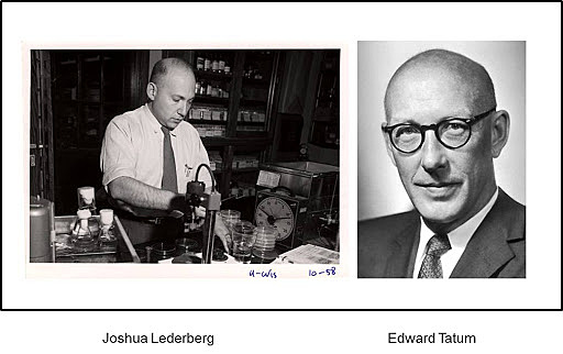 Edward Tatum y Joshua Lederberg