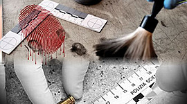 Timeline: Historia de la Criminalistica