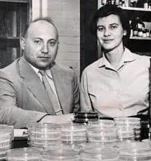 Joshua Lederberg y Norton Zinder