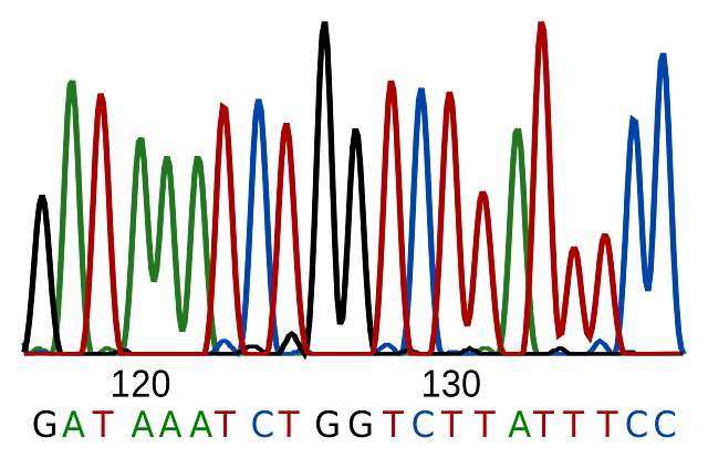 Fred Sanger, Eteven Niklen y Alan Coulson