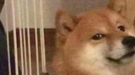 Timeline: Technology from then to now.