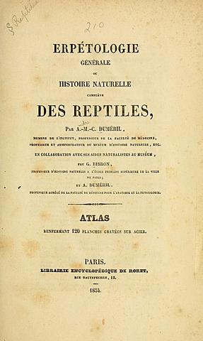 Dumeríl y Bibron "Erpétolologie Générale ou Historie Naturelle  Complète des Reptiles"