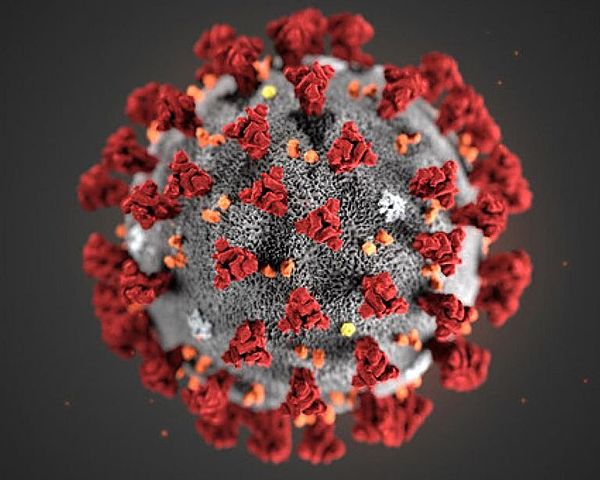 Aparece una nueva cepa de coronavirus en China: SARS-CoV-2
