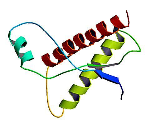Caracterización de priones