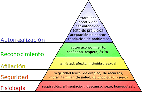 Teoría de la auto realización