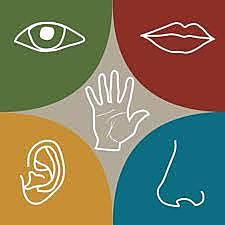 Los instintos en las decisiones