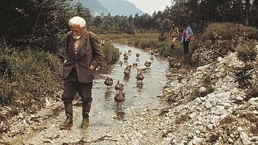 Impronta- Konrad Lorenz