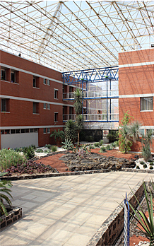 Instituto de Biología, UNAM