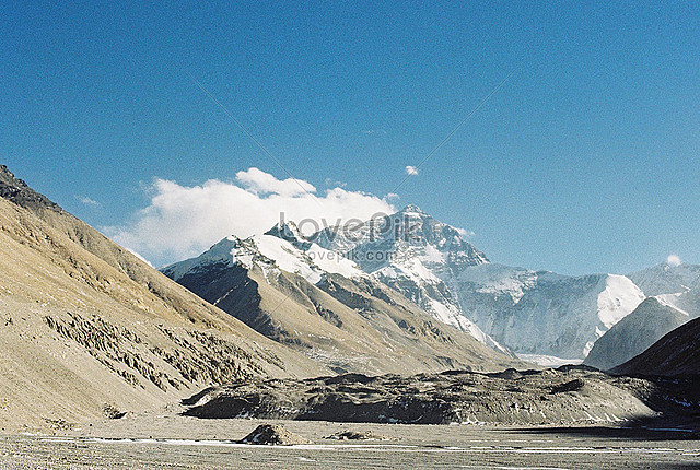 Hace 50-20 millones de años