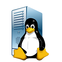 Linux supera a Microsoft en servidores