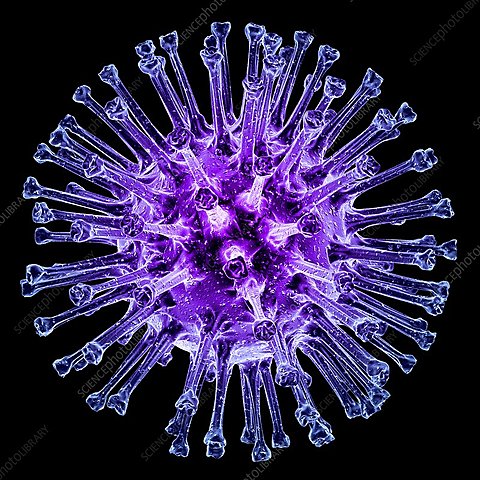 Pandemia de Influenza causada por el nuevo virus (H1N1)