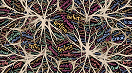 Timeline: Historia de la Psicología cognitiva