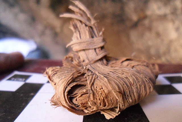 Hojas de palma y plátano