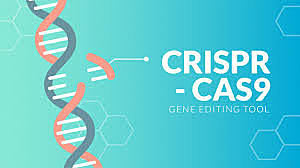 CRISPR