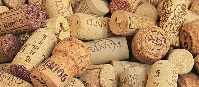 Llega a EEUU la tecnología de fabricación del papel