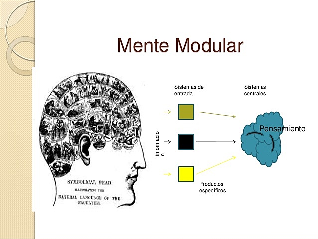 Teoría de la Modificabilidad cognitiva