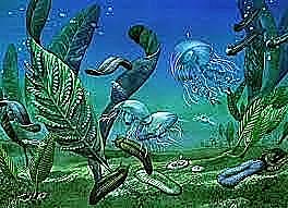 Proterosoikum e agueoon