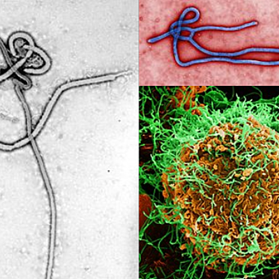 Timeline: Brotes de Ébola. Casos mayores