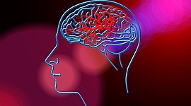 Timeline: EVOLUCIÓN DE LA NEUROPSICOLOGÍA EDUCATIVA