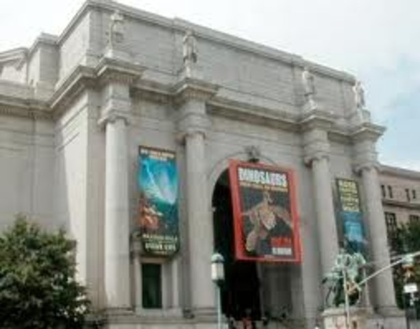 Conservatori de Nova York