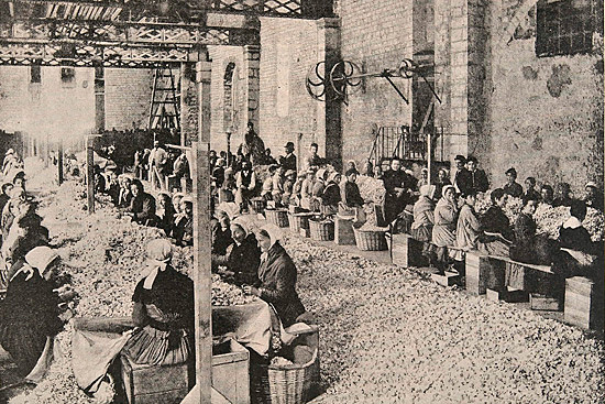 Reconocimiento de las libertades de coalición y asociación sindical