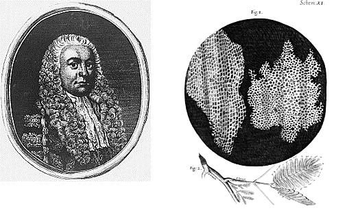Hooke primera observación de las células