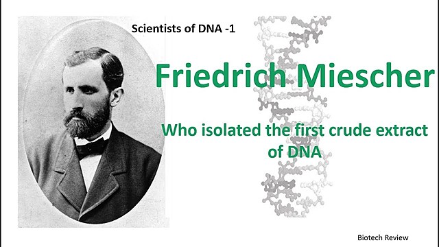 Miescher descubre los ácidos nucleicos