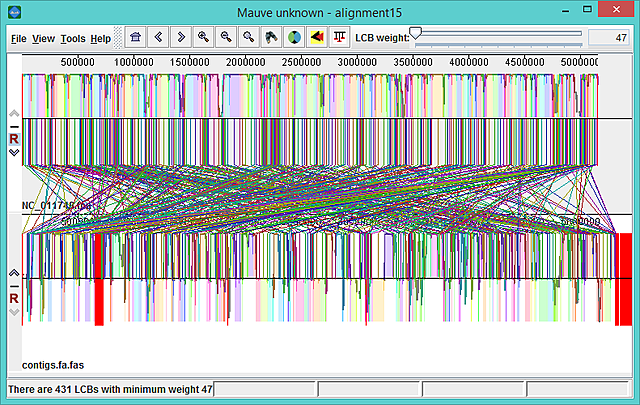 El genoma de Escherichia coli es secuenciado