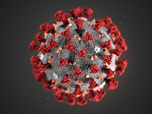 Aparece un nuevo virus que causa pandemia: SARS-CoV-2