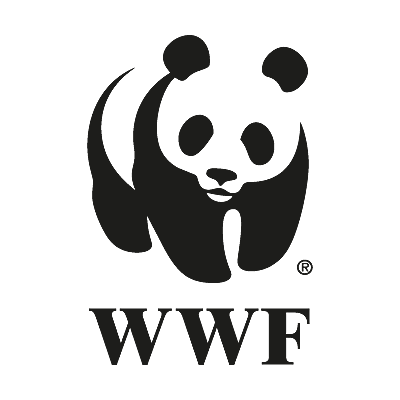 CREACIÓN DE ORGANIZACIONES DE RSC