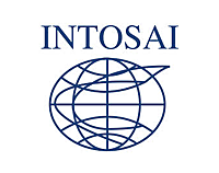Surge la INTOSAI