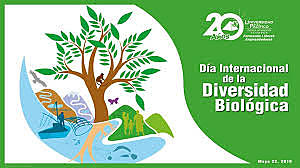 Día Internacional de la Diversidad Biológica