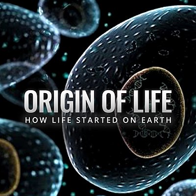 Timeline: Stage 1 Biology Timeline