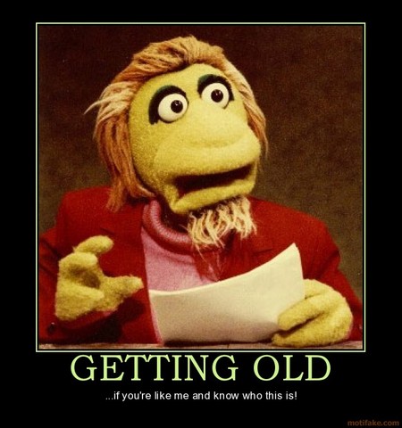 Adulthood (pyschosocial)