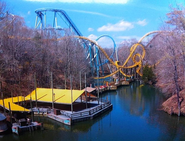 I rode my first roller coaster