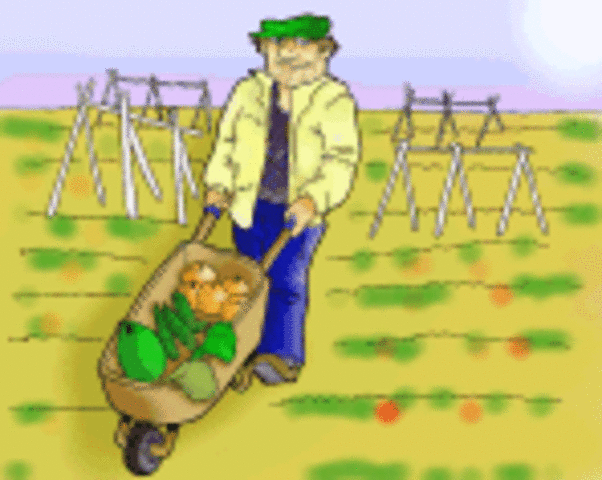 Discovery of Agriculture