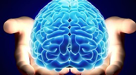 Timeline: HISTORIA DE LA NEUROPSICOLOGÍA