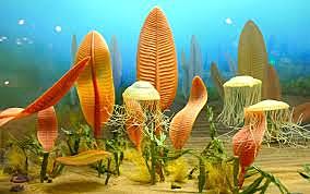 3.800 MILLONES DE AÑOS