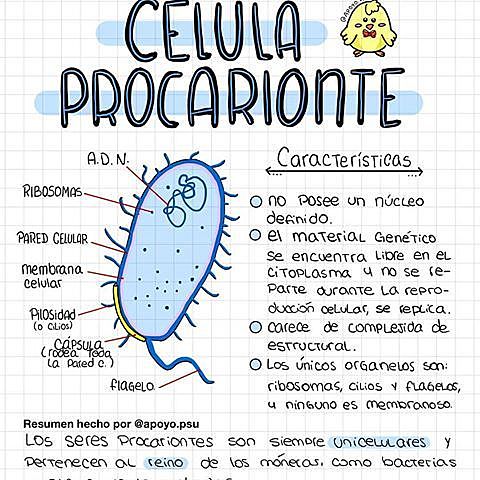 CELULA PROCARIOTAS HACE 3.500 MILLONES DE AÑOS