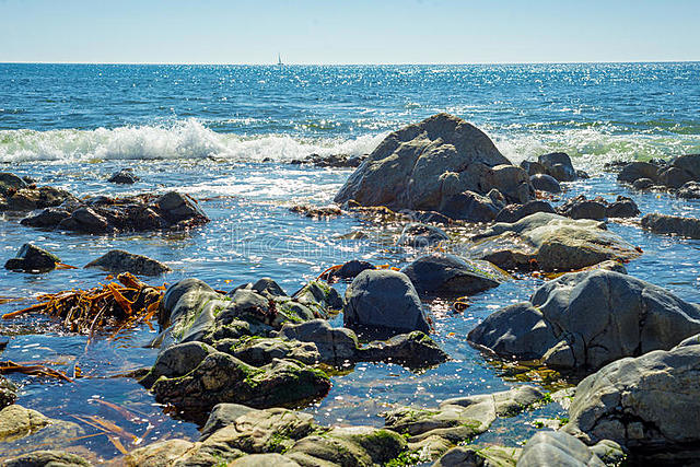 3.500 MILLONES DE AÑOS