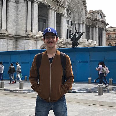 Timeline: Curso de vida