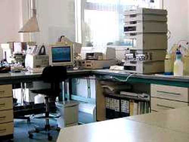 Primeros Laboratorios Entandares