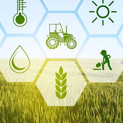 Timeline: History of Agriculture